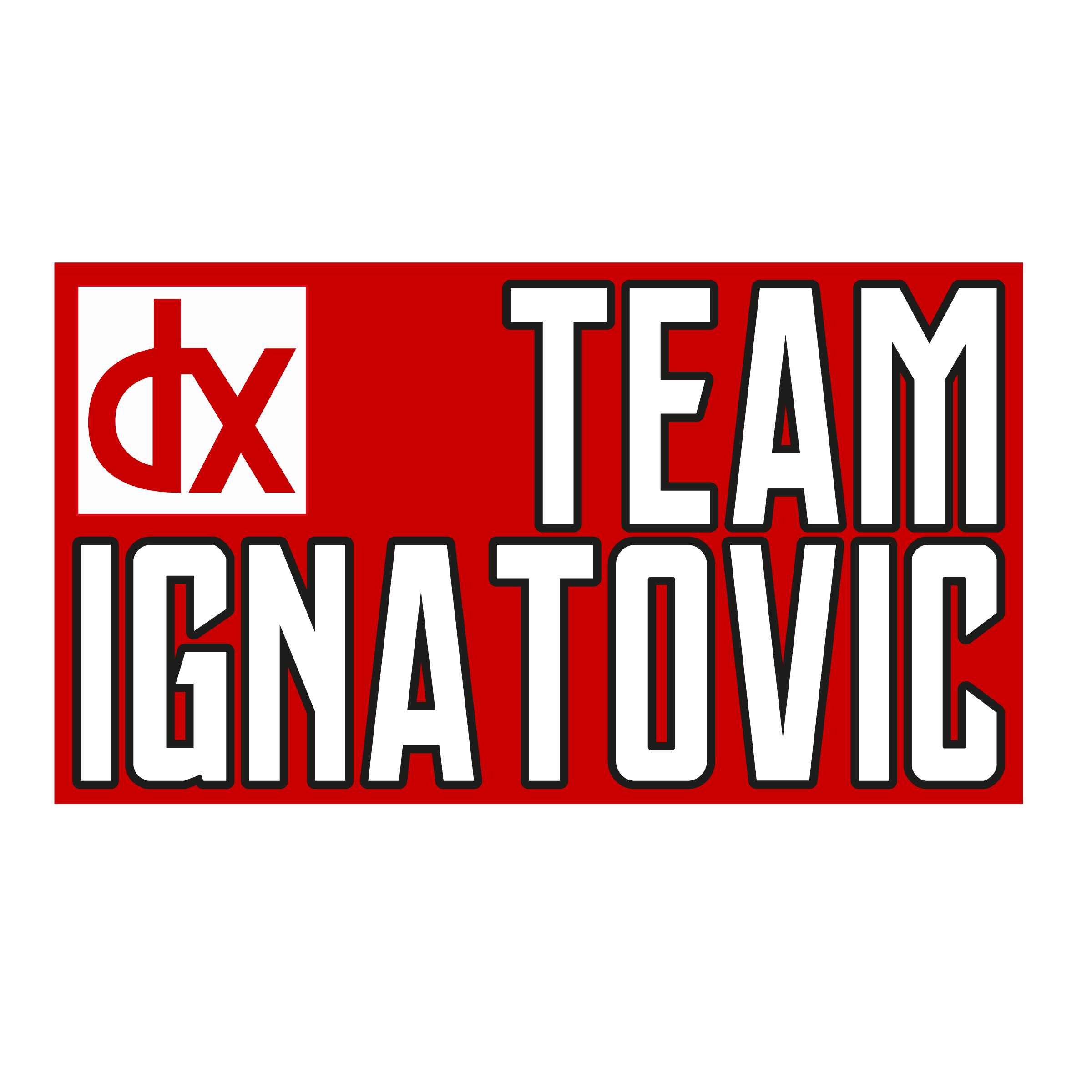 (c) Teamignatovic.com
